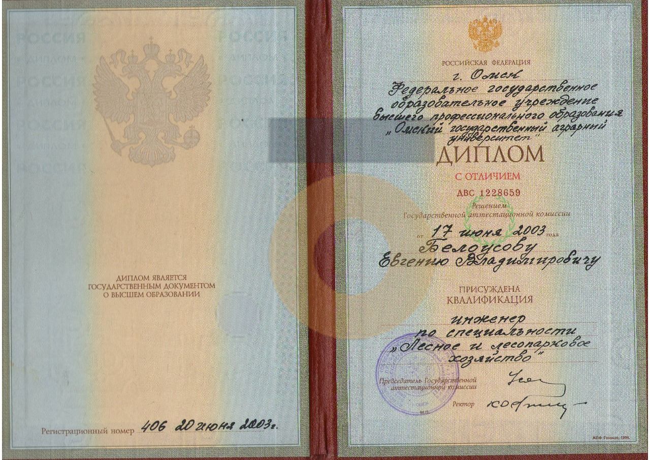 Дипломы и сертификаты эксперта