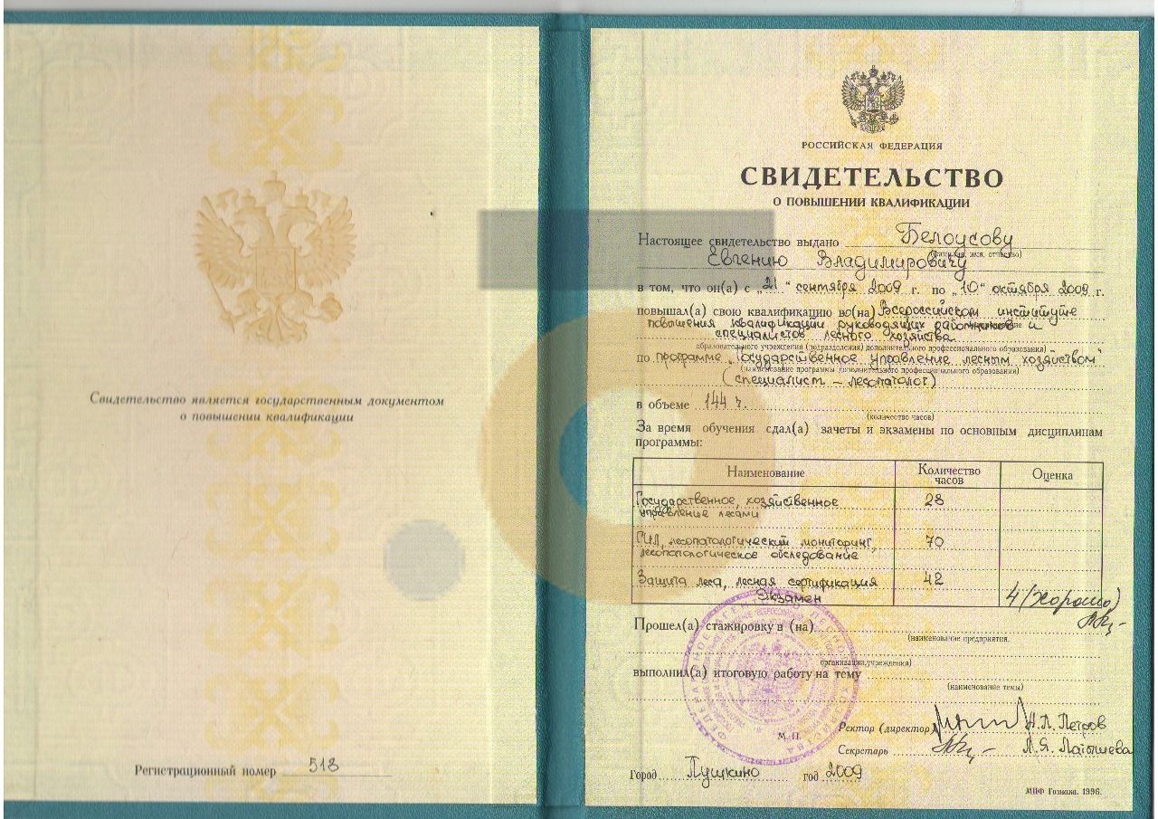Дипломы и сертификаты эксперта